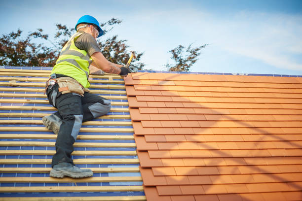 Best Rubber Roofing (EPDM, TPO)  in Ninety Six, SC